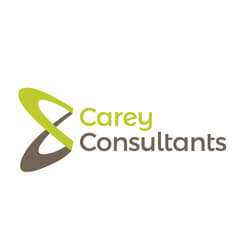 Carey Consultants Hours